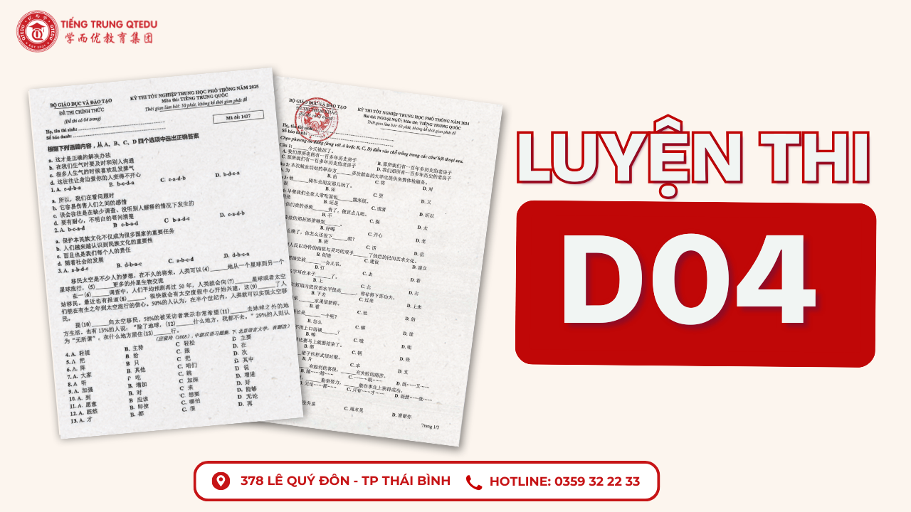 Luyện thi khối D04