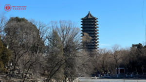 Đại học Bắc Đại