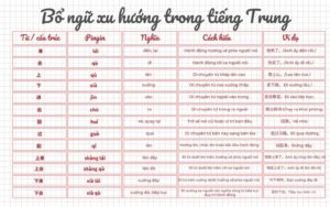 bo-ngu-xu-huong